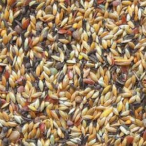 Bird Supreme canaries breeding without rapeseed 20kg for pets in the Petfoodpro Shop