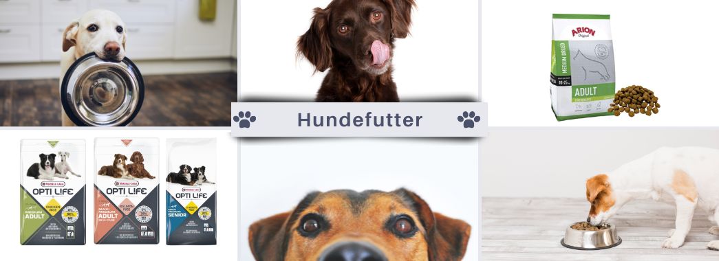 Banner Hundefutter