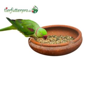 Supplementary feed