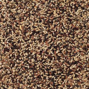 Deli Nature No. 48 Siskins & Goldfinches 20 kg